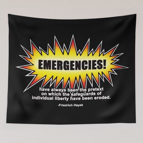 Item preview, Emergencies' have always been the pretext on which the safeguards of individual liberty have been eroded. designed and sold by Allen Peterson.