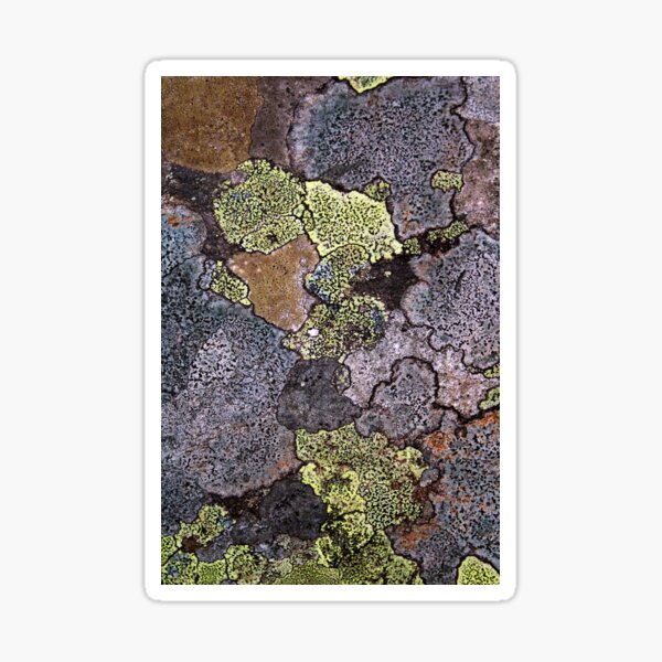 Item preview, lichen designed and sold by KathleenDawson.