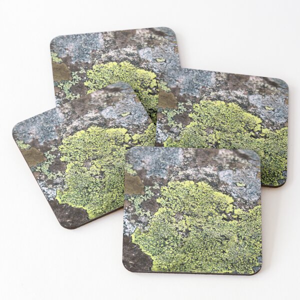 Item preview, lichen designed and sold by KathleenDawson.