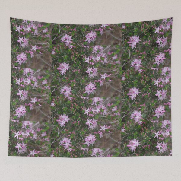 Item preview, Calytrix In Kings Park designed and sold by lezvee.