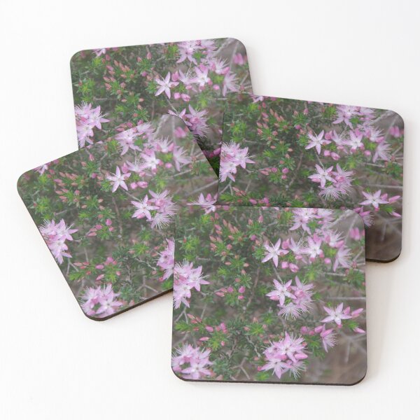 Item preview, Calytrix In Kings Park designed and sold by lezvee.