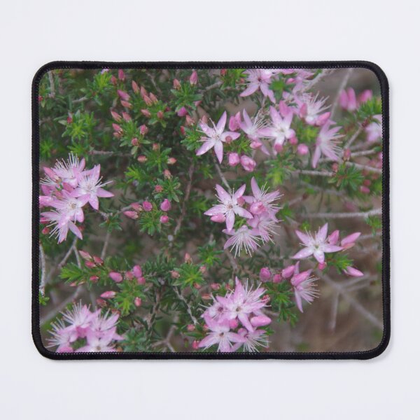 Item preview, Calytrix In Kings Park designed and sold by lezvee.