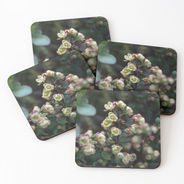 Item preview, GREEN PINK AND CREAM BERBERIS FLOWERS designed and sold by Richard Brookes Photography.