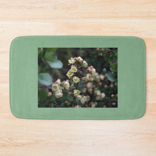 Item preview, GREEN PINK AND CREAM BERBERIS FLOWERS designed and sold by Richard Brookes Photography.