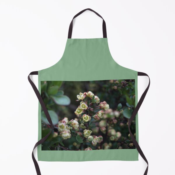 Item preview, GREEN PINK AND CREAM BERBERIS FLOWERS designed and sold by Richard Brookes Photography.