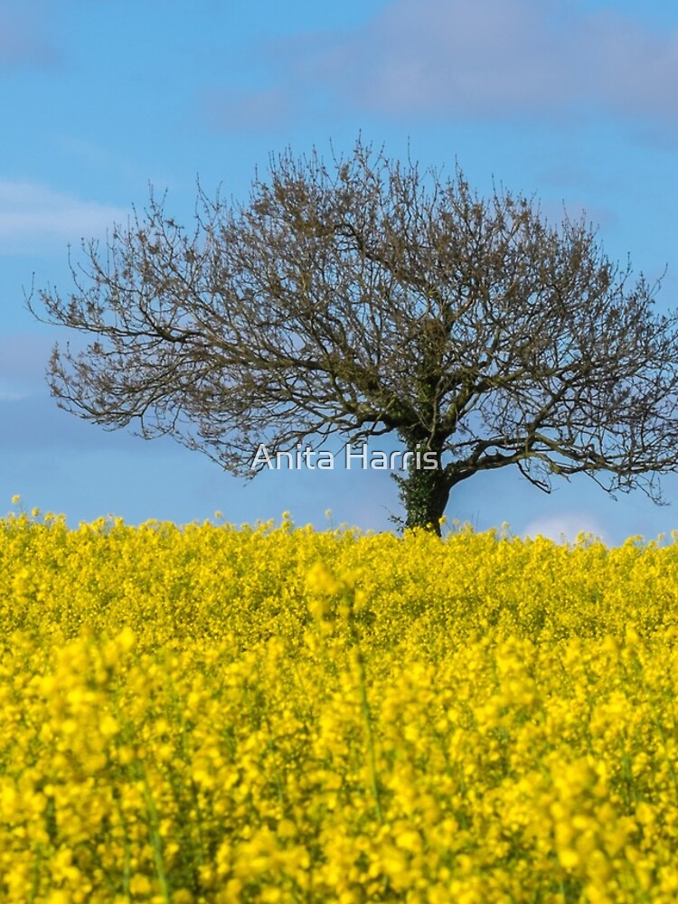 Tree by plasticflower