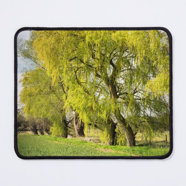 Item preview, Countryside designed and sold by JEZ22.