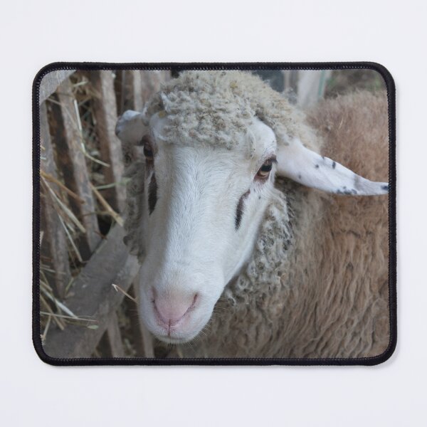 Item preview, Sheep with hay designed and sold by Parafull.