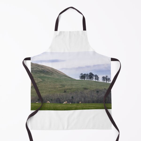 Item preview, Trees on a hill near Denholm, Scottish Borders designed and sold by Richard Flint.