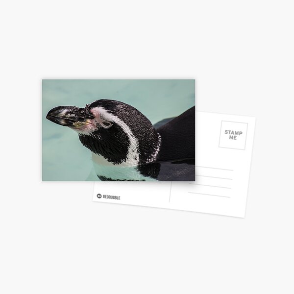 Item preview, Penguin - large designed and sold by JRFotography.