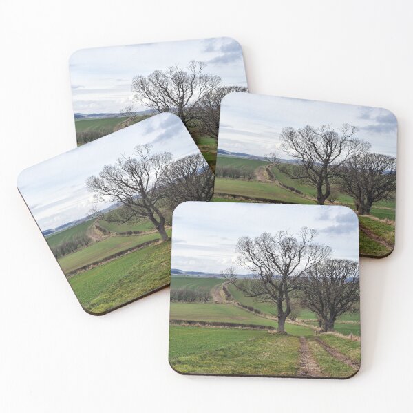 Item preview, Track through a field near Denhom, Scottish Borders designed and sold by Richard Flint.