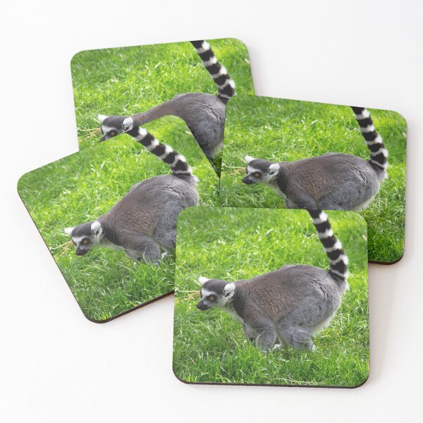 Item preview, Lemur - large designed and sold by JRFotography.