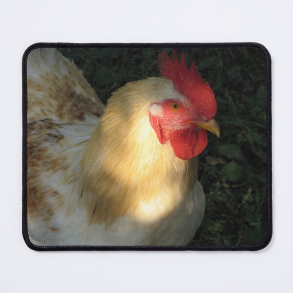 Item preview, Rooster designed and sold by Parafull.