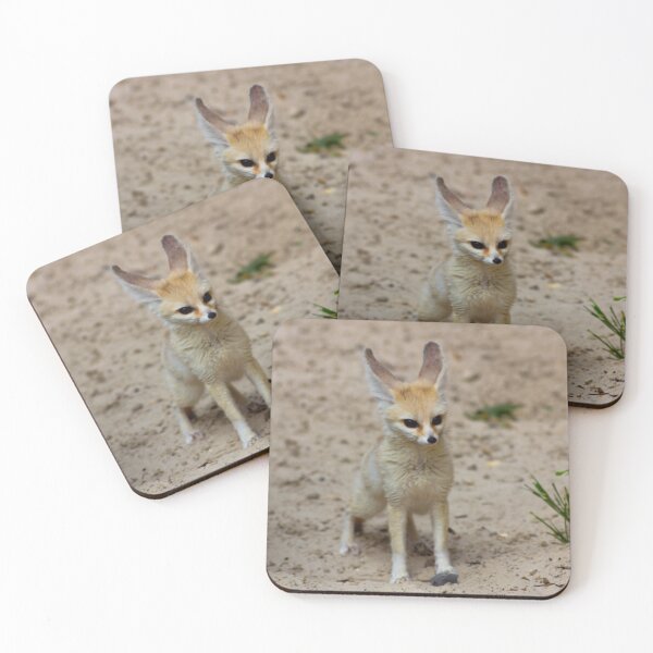 Item preview, Fennec fox 2 designed and sold by JRFotography.