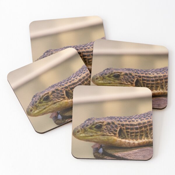 Item preview, Lizard 2 designed and sold by JRFotography.