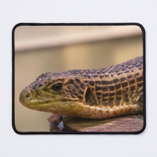 Item preview, Lizard 2 designed and sold by JRFotography.