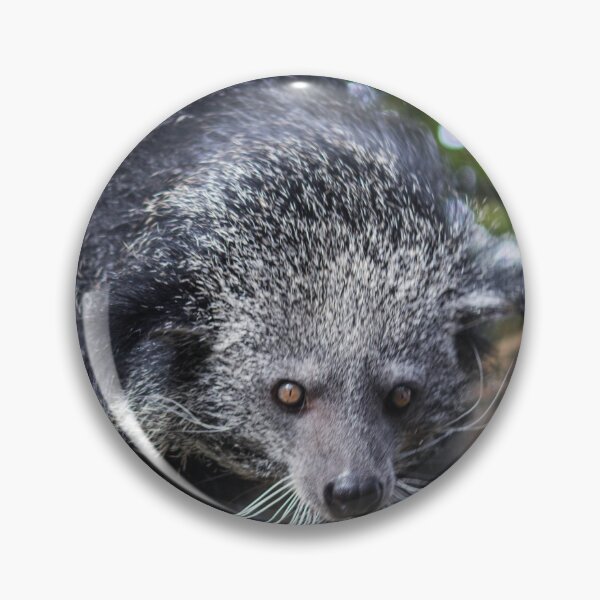 Item preview, Binturong designed and sold by JRFotography.