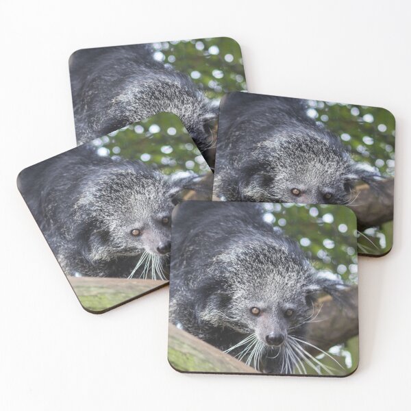 Item preview, Binturong designed and sold by JRFotography.