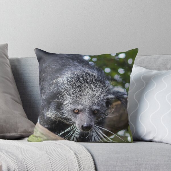 Item preview, Binturong designed and sold by JRFotography.