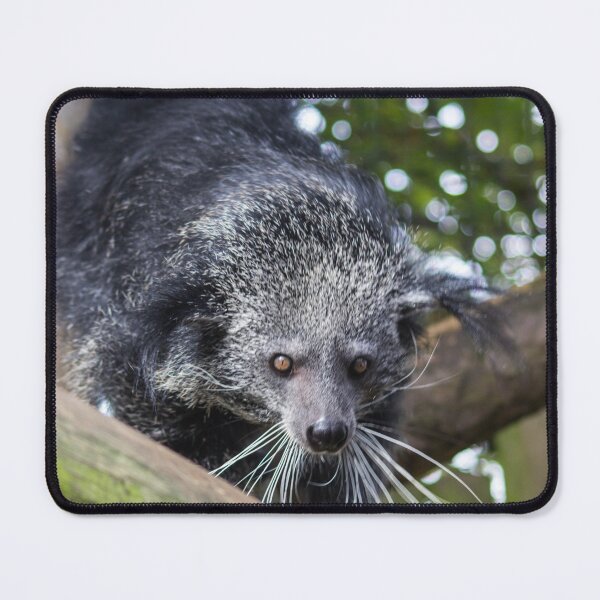 Item preview, Binturong designed and sold by JRFotography.