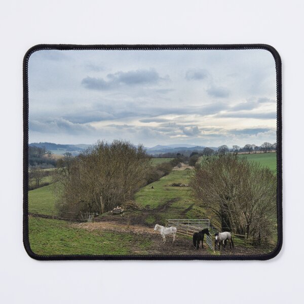 Item preview, The Horses of Hassendean, Scottish Borders designed and sold by Richard Flint.