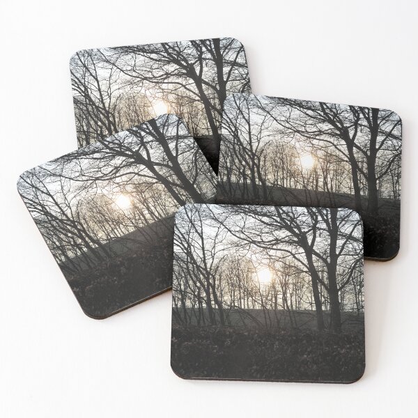 Item preview, Spring Sun through the trees, Scottish Borders designed and sold by Richard Flint.