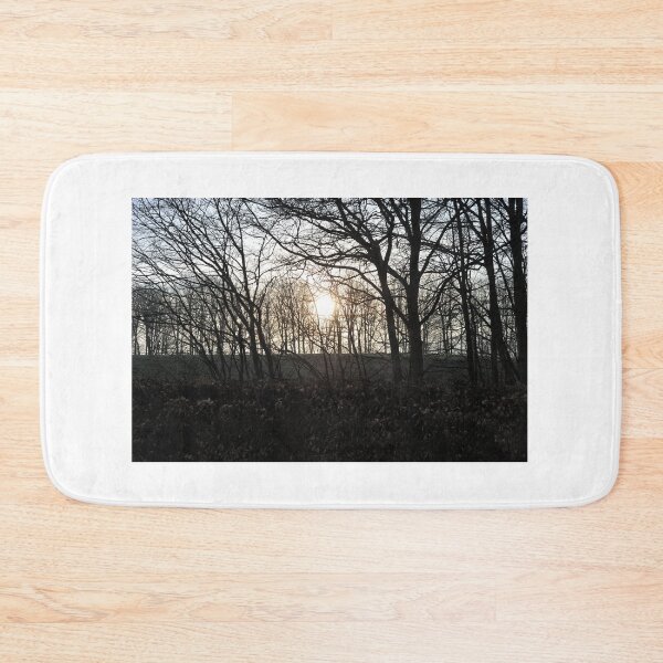 Item preview, Spring Sun through the trees, Scottish Borders designed and sold by Richard Flint.