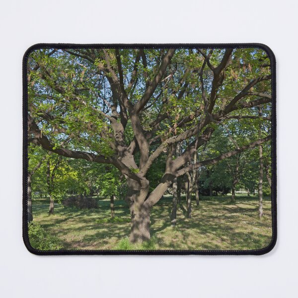Item preview, Tree in the springtime designed and sold by Parafull.