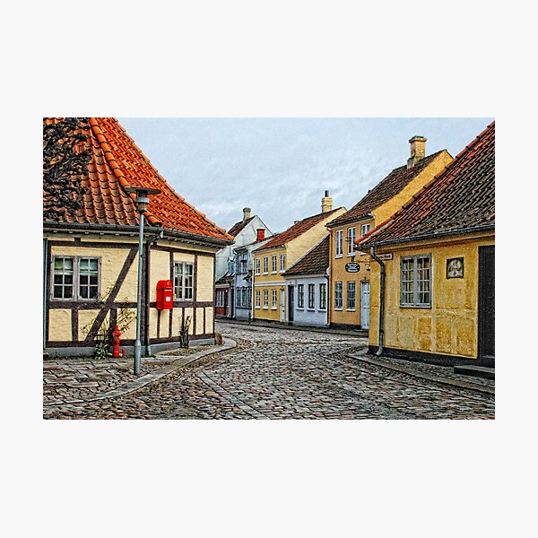 Village of Odense Photographic Print