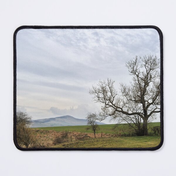 Artikelvorschau, Entfernter Hügel. Landschaft bei Hassendean, Scottish Borders entworfen und verkauft von Richard Flint.