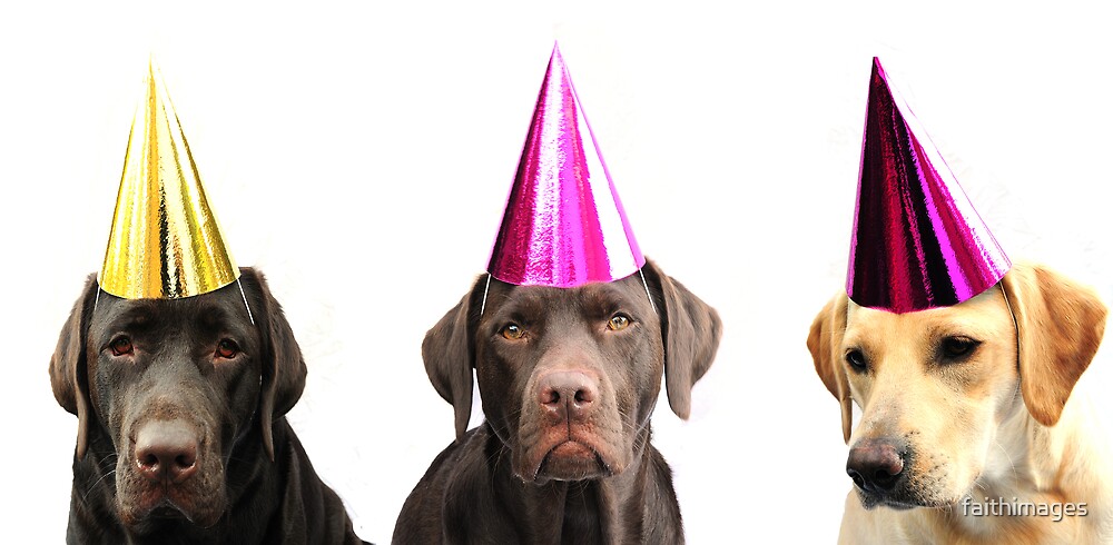 dog birthday party hats