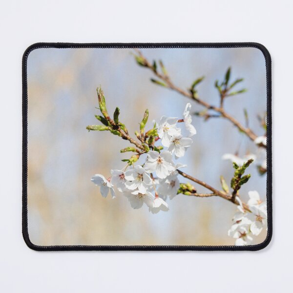 Item preview, Spring Cherry Blossom designed and sold by Tanya C  Smith.