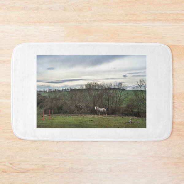 Item preview, Lone white horse near Hassendean, Scottish Borders designed and sold by Richard Flint.