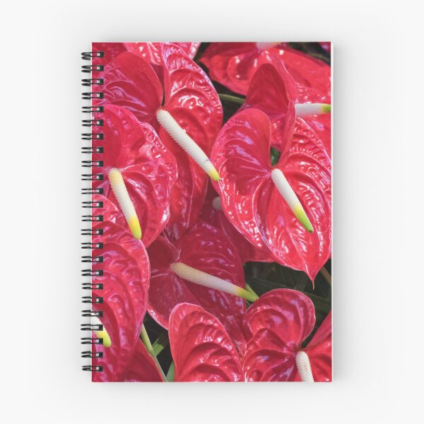 Item preview, Red Anthurium designed and sold by Lynn Bolt.