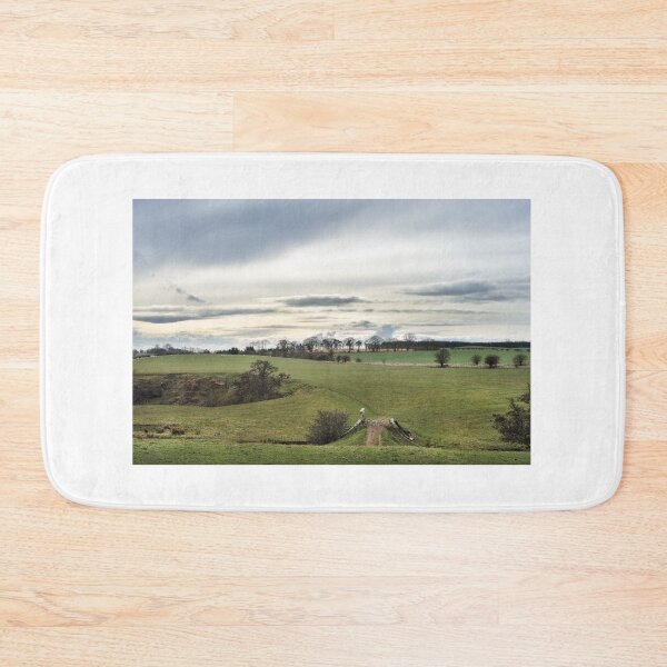 Item preview, The old bridge. Landscape near Hassendean, Scottish Borders designed and sold by Richard Flint.