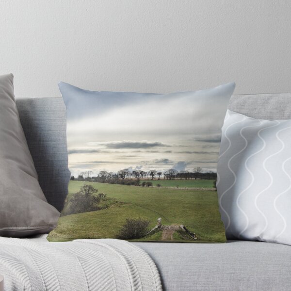 Item preview, The old bridge. Landscape near Hassendean, Scottish Borders designed and sold by Richard Flint.