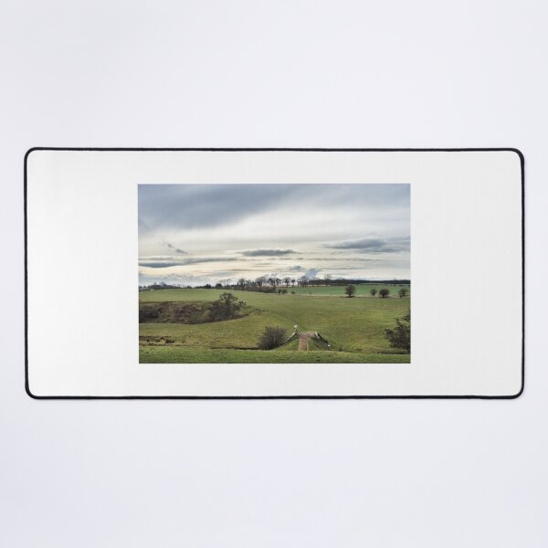 Artikelvorschau, Die alte Brücke. Landschaft bei Hassendean, Scottish Borders entworfen und verkauft von Richard Flint.