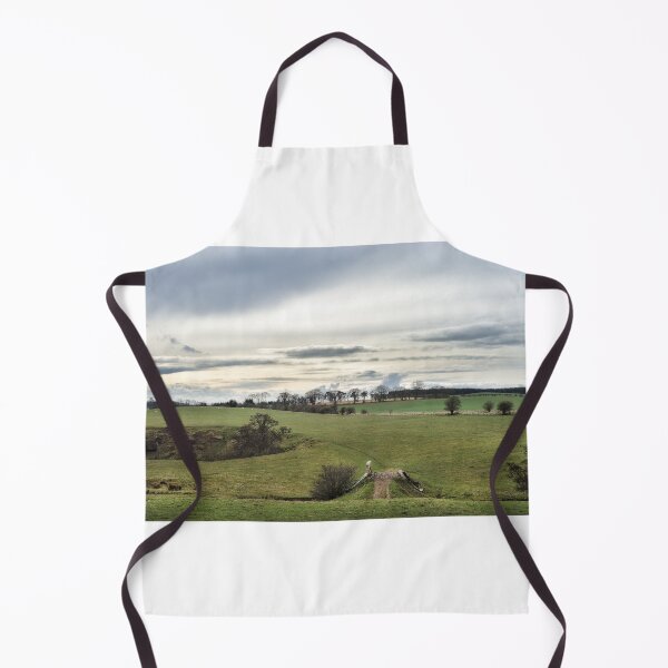 Item preview, The old bridge. Landscape near Hassendean, Scottish Borders designed and sold by Richard Flint.
