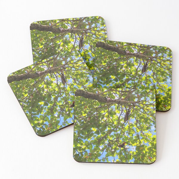 Item preview, Sungazing designed and sold by Quantum-Life.