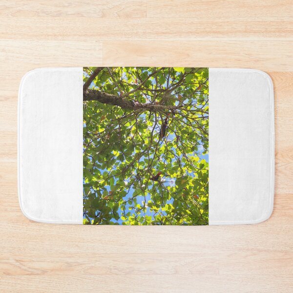 Item preview, Sungazing designed and sold by Quantum-Life.