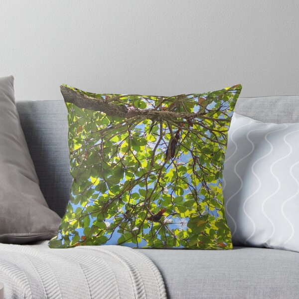 Item preview, Sungazing designed and sold by Quantum-Life.