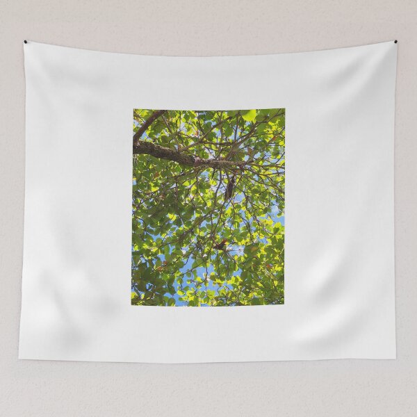 Item preview, Sungazing designed and sold by Quantum-Life.