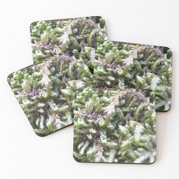 Item preview, Photo close up Moss designed and sold by PM-Artistic.