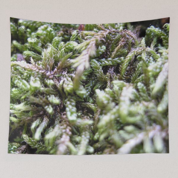 Item preview, Photo close up Moss designed and sold by PM-Artistic.