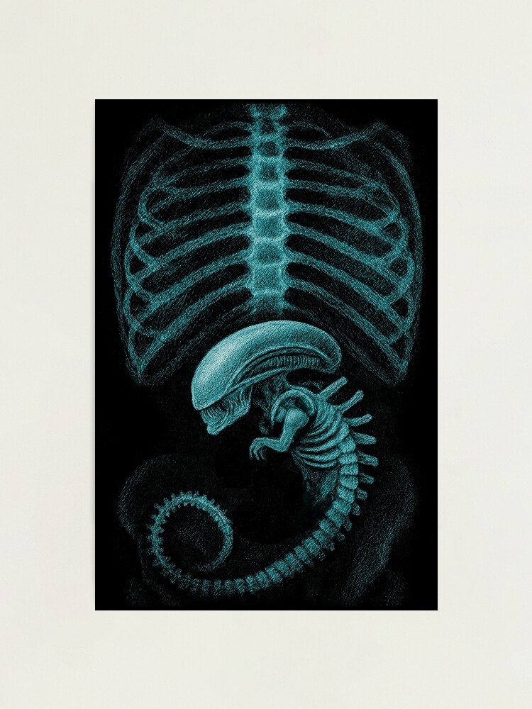 fpp,x_large,metallic,