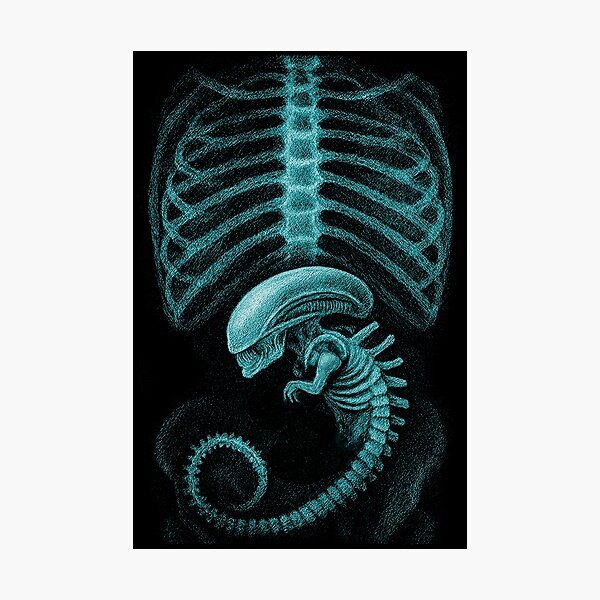 pp,504x498-pad,600x600,f8f8f8.