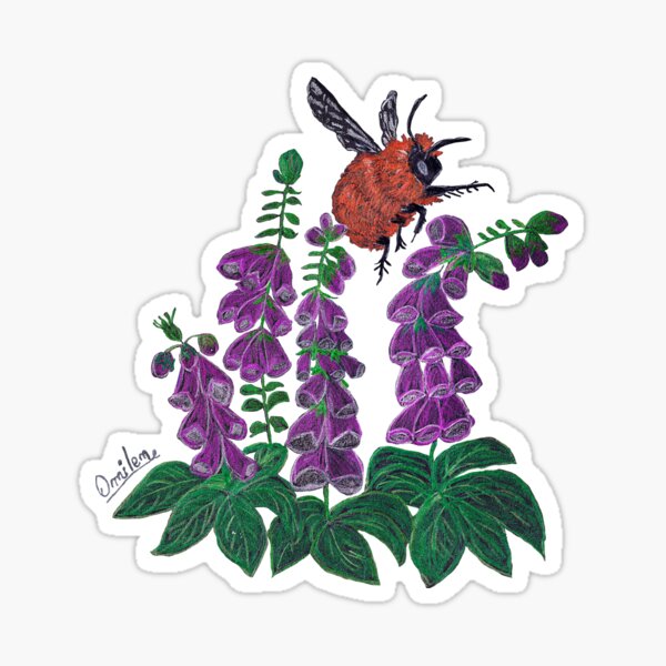 Chilean Bumblebee Sticker