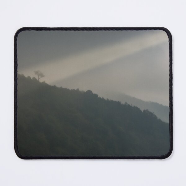 Item preview, Single tree in sunlight designed and sold by Eckart Mayer Photography.