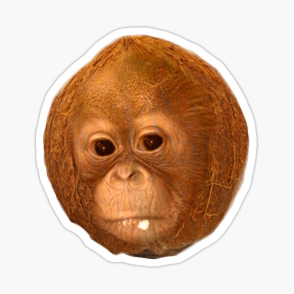 Item preview, Coconut Orangutan designed and sold by ProducePrimates.