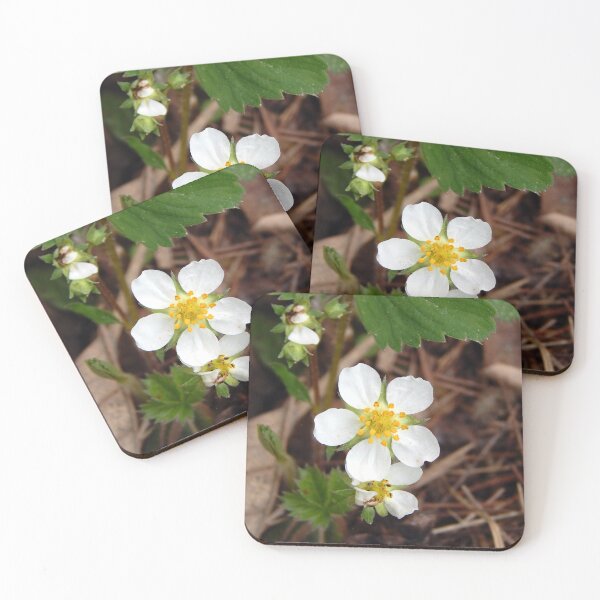 Item preview, Wild Virginia Strawberry designed and sold by gistinker.
